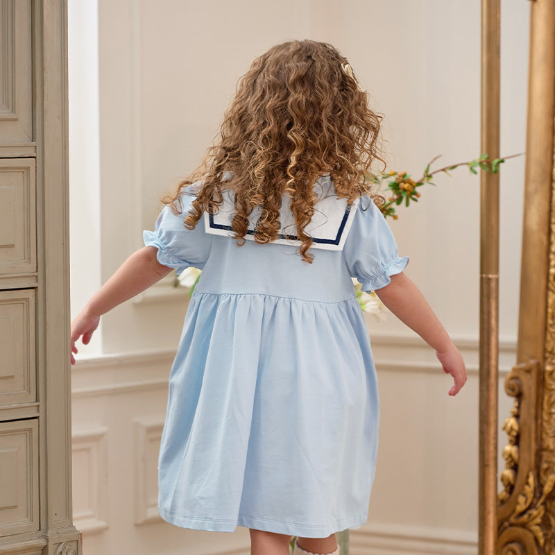 فستان بنات صيفي من القطن بأكمام منفوشة باللون الأزرق الفاتح مع تطريز بجعة، أسلوب لطيف