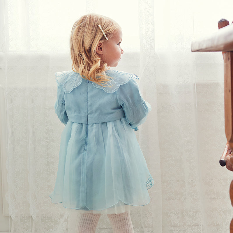 فستان بنات بأكمام طويلة من التول رمادي أزرق تصميم أميري فاخر