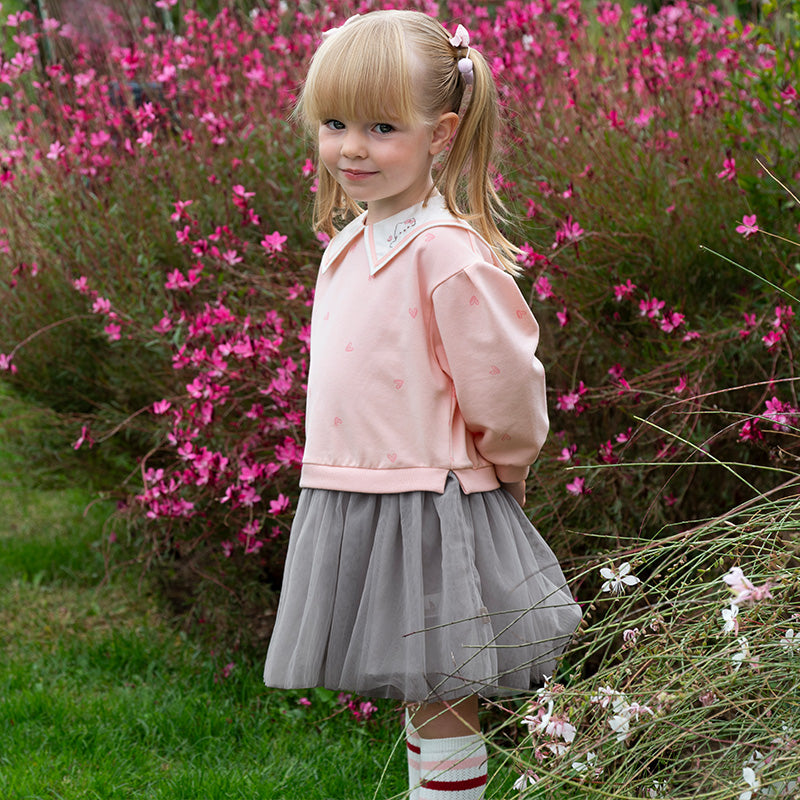 فستان بنات طويل الأكمام وردي لطيف بتنورة تول رمادي فاتح بأسلوب أميرة