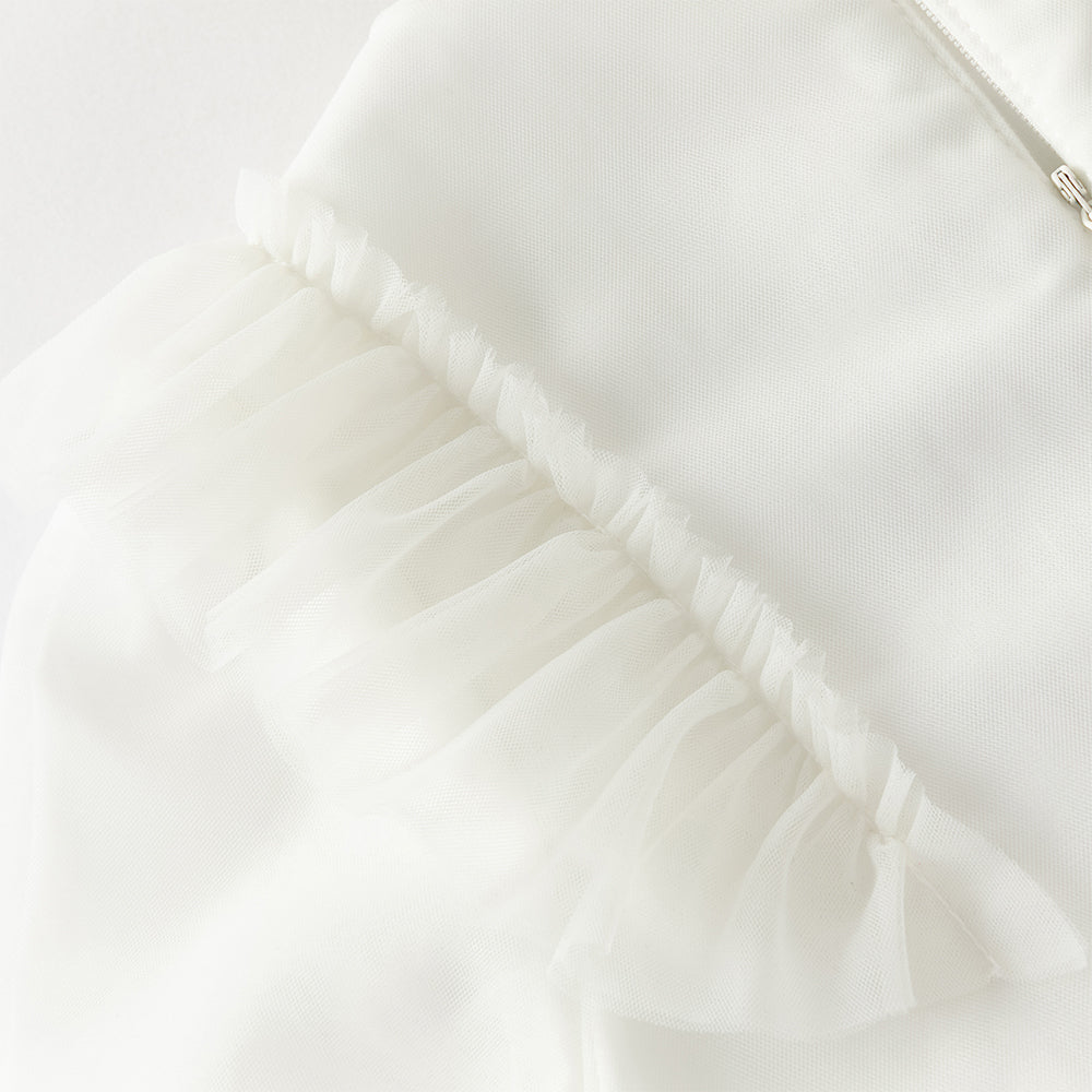 فستان بنات طويل الأكمام من التول باللون البيج مزين بتطريز الزهور، أسلوب أميرة