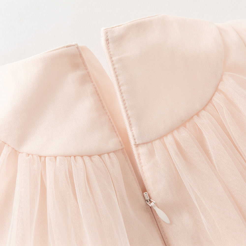 فستان بنات طويل الأكمام وردي من التول بأسلوب أميرة