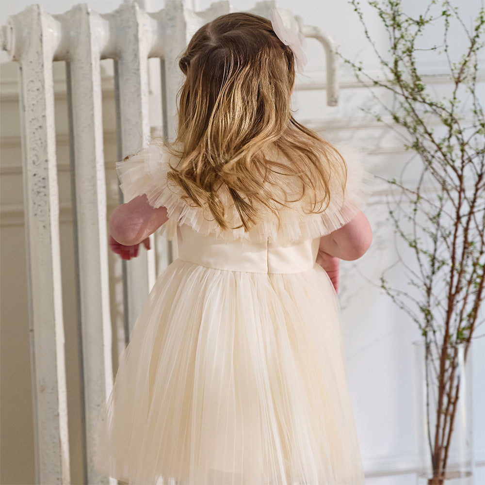 فستان بنات صيفي بلون الشامبين بدون أكمام من التول بأسلوب أميرة مع شال متناسق